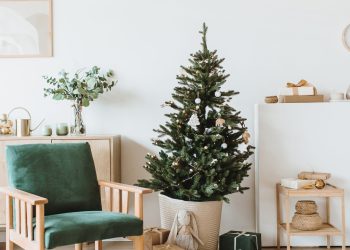 Žena je oprala svoju jelku pa šokirala ljude: Kako je moguće da se to dogodi?