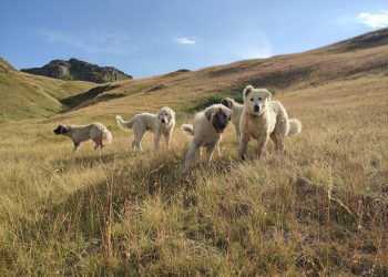 BiH i Italija jačaju saradnju u području turizma