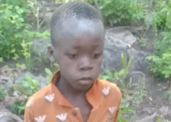 Dječak (7) otišao od kuće. Pet dana proveo među 40 lavova i uspio preživjeti