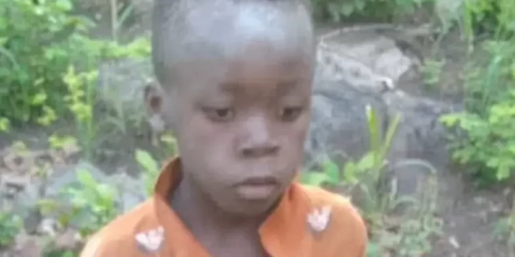 Dječak (7) otišao od kuće. Pet dana proveo među 40 lavova i uspio preživjeti