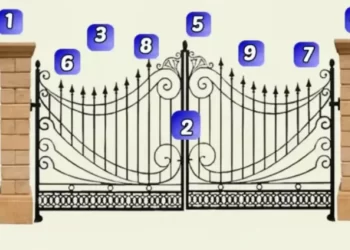 Izaberite jedan broj sa slike i saznajte šta vam donosi sudbina