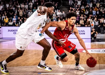 Konaković potvrdio: Castaneda i Smalls dobili pasoš BiH, moći će igrati za košarkaške reprezentacije u narednim utakmicama