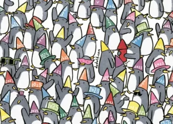 Na slici se nalaze tri šešira sa kojima nešto nije u redu. Možete li ih pronaći?