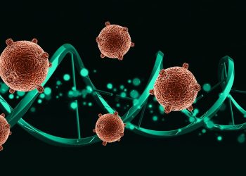 Naučnici iz 40 zemalja pokušavaju otkriti tajnu “super preživjelih”