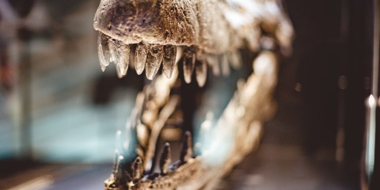 Otkriveno gdje bi se mogli skrivati fosili prvih svjetskih dinosaurusa? ‘To nikad nećemo moći istražiti…’