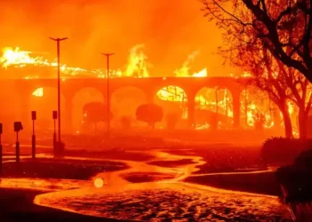 Pakao na zemlji: Požari gutaju Kaliforniju, ljudi bježe, vojska uključena u borbu za opstanak