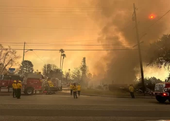 Pepeo i plamen preplavili Los Angeles: Haos u gradu, vjetar prijeti još većim uništenjem