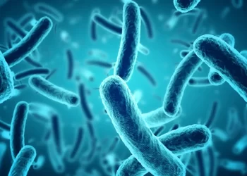 Stručnjak za hranu upozorio: ‘Ako na plastičnoj dasci vidite ovo, bacite je!’