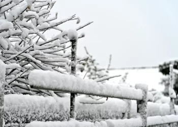 U Hrvatsku stiže snijeg, koji će kasnije stići i u BiH