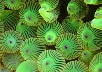 Umjetna inteligencija kreirala nešto što za što bi prirodnim putem trebalo 500 miliona godina. Ovako filmovi počinju