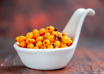 Upoznajte jednu od najmoćnijih bobica na svijetu: Čuva srce i drži pritisak u normali, liječi gastritis, kožne probleme, jetru