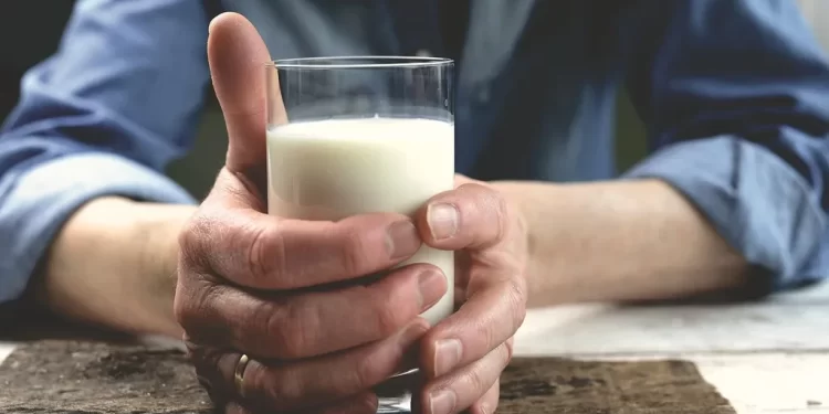 Veliko istraživanje pokazalo da čaša mlijeka na dan smanjuje rizik od teške vrste raka