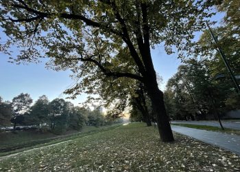 Danas sunčano uz umjerenu oblačnost, temperature na jugu do 13 stepeni