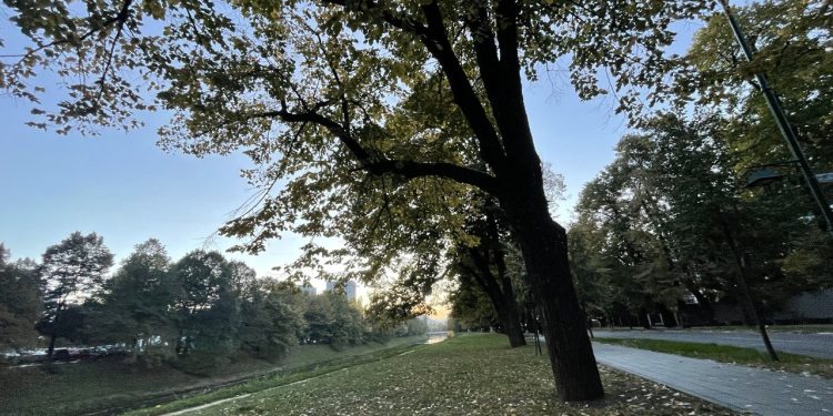 Danas sunčano uz umjerenu oblačnost, temperature na jugu do 13 stepeni