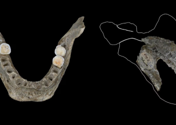 Šokantna spoznaja arheologa: Rani Evropljani možda su jeli mozgove svojih neprijatelja