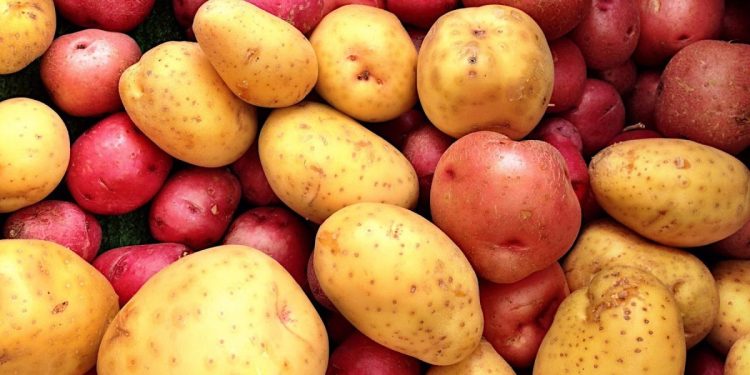 Stručnjaci otkrili koji je krompir najzdraviji: ‘Razlika između crvenog i bijelog je ogromna’