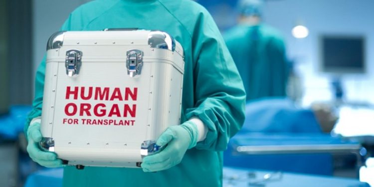 Veliki napredak: U prošloj godini u FBiH urađeno 36 transplantacija, najviše u posljednjih 10 godina