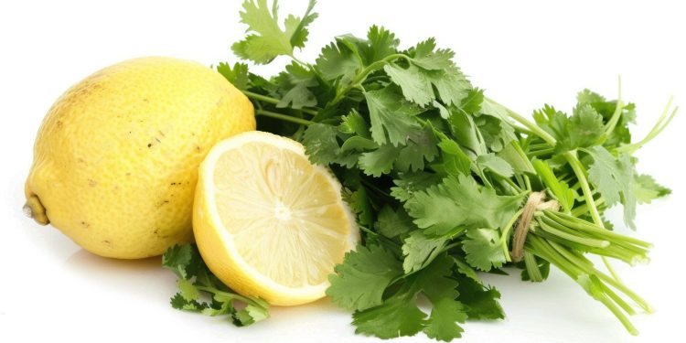 Najbolji načni da započnete dan: Ovo je moćni sagorijevač masti, pravo čudo za jetru