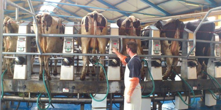 Nastavljen izvoz: Sektor mljekarstva u BiH ispunjava visoke evropske standarde