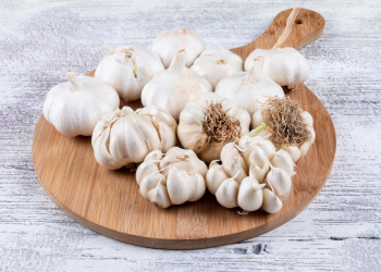 Ovo je prava istina o prirodnim antibioticima